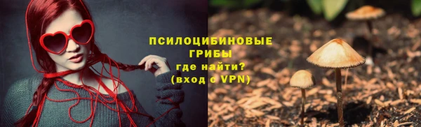 молекула духа Арсеньев