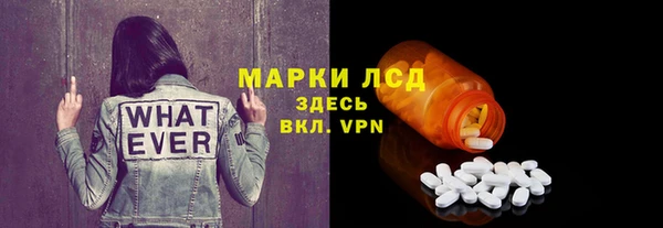 молекула духа Арсеньев