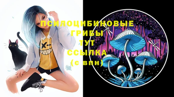 прущие крисы Армянск