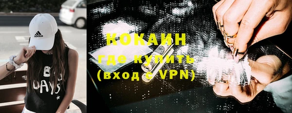 молекула духа Арсеньев