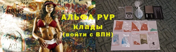 молекула духа Арсеньев
