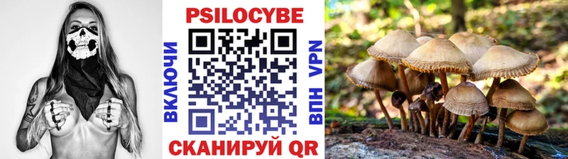omg ONION  Омутнинск  Галлюциногенные грибы прущие грибы 
